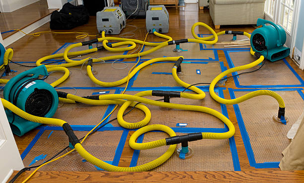 Professional Basement Flood Cleanup technician working in Hermitage, PA
