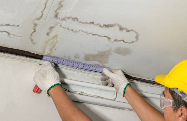 Affordable Water Damage Repair solutions in Hermitage, PA